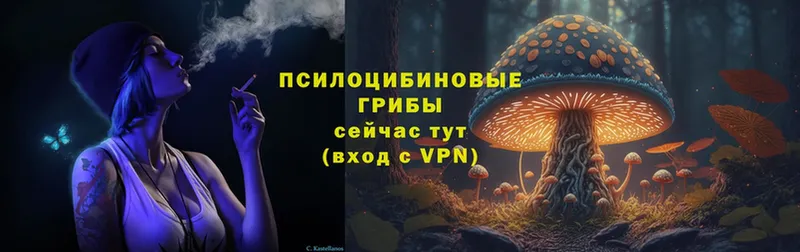 Галлюциногенные грибы Psilocybe  ссылка на мегу зеркало  Балашов 